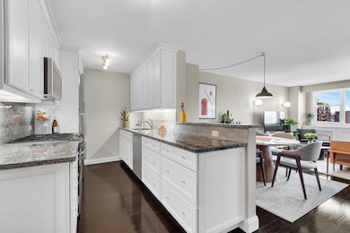 The Vermeer unit 14L, New York, NY 10011 - photo 3