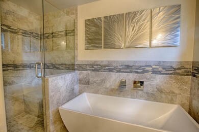 Master Bath and Separate Shower