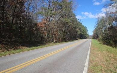 Additional View