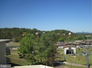 1836 Fairway Dr unit 221, Basye, VA 22810 - photo 4