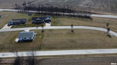 000 Leon Ln, Pittsfield, IL 62363 - photo 4