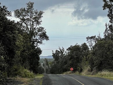 Across the Street From the Lots  Looking To Lehua..