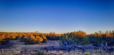 20200930_174439-HDR