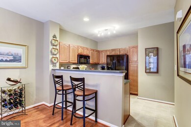 46185 Cecil Terrace, Sterling, VA 20165 - photo 5