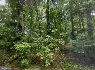 00 Level Hill Rd, Luray, VA 22835 - photo 6
