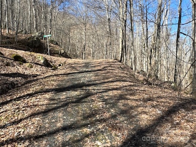 00 Beech Thicket Springs Rd unit 41, Bakersville, NC 28705 - photo 3