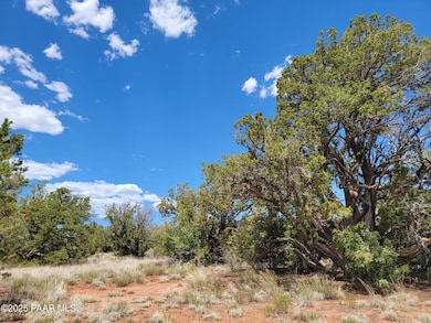 663 S Lodestar Dr, Valle, AZ 86046 - photo 3