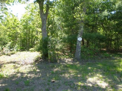 0 Duckies unit 21503753, Falmouth, MA 02536 - photo 5