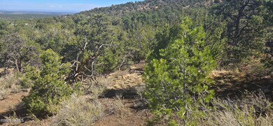 20202016t No Name Rd, Williams, AZ 86046 - photo 4