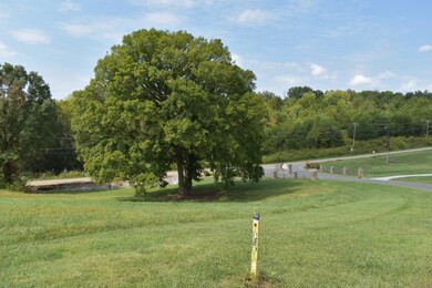 Photo Sep 22 2025, 12 50 41 PM