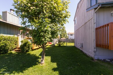 Side Yard