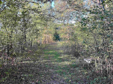 1705 Good Springs Loop, Williston, TN 38076 - photo 4