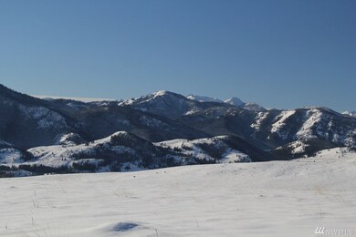 134 Cap Wright Rd, Twisp, WA 98856 - photo 3