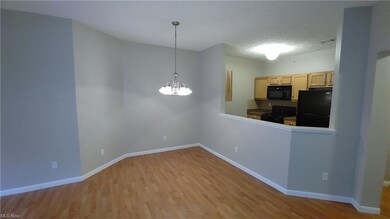 1007 Aqua Marine Blvd unit 45, Avon Lake, OH 44012 - photo 5