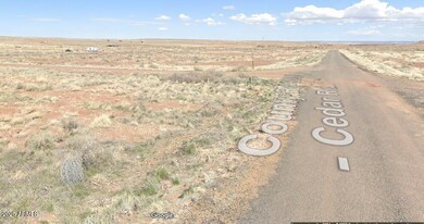 29 County Road 6025 unit 106, Saint Johns, AZ 85936 - photo 3