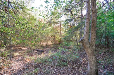 000 Deer Run Rd, Nacogdoches, TX 75964 - photo 4