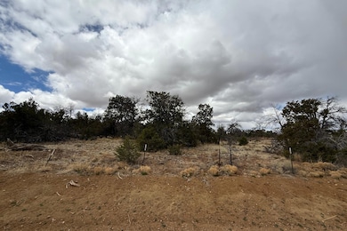 0 Edgewood Dr unit 25503300, Ramah, NM 87321 - photo 3