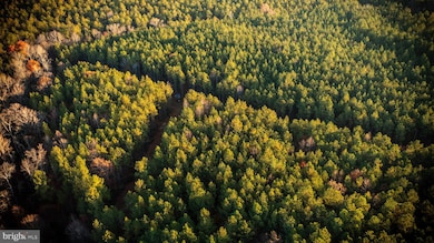 TBD Iris Rd, Mascot, VA 23108 - photo 3