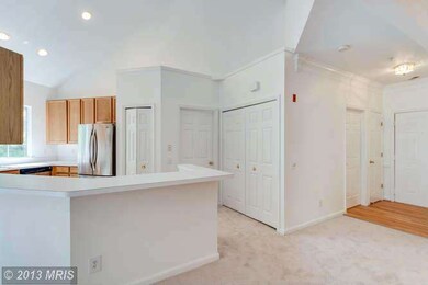 12471 Hayes Ct unit 302, Fairfax, VA 22033 - photo 4
