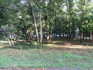 158 Dudala Way, Loudon, TN 37774 - photo 5