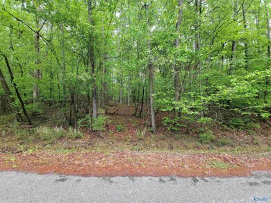 2.5 Aqua Vista Dr E, Tidmore Bend, AL 35901 - photo 4