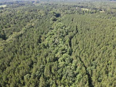 18121 Jordan Grove Road Exd, Dozier, AL 36028 - photo 5