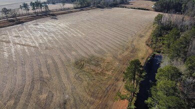 TBD Black Creek Rd, Nichols, SC 29581 - photo 4