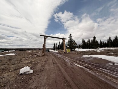 2563 E Meadow Lake Dr, Brian Head, UT 84719 - photo 6