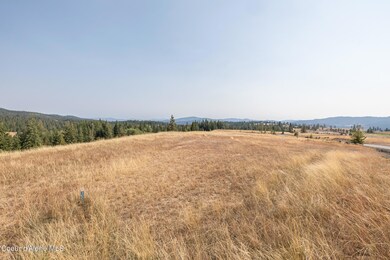 CDA National Reserve Lot 8 photos-2