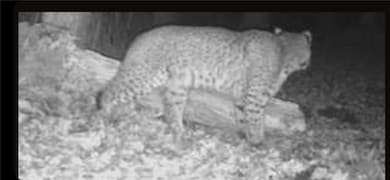 E21504 Karow Rd, Augusta, WI 54722 - photo 5