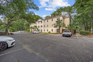 6840 Blue Heron Blvd unit 206, Myrtle Beach, SC 29588 - photo 3