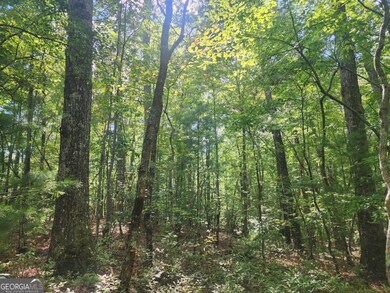 16 Hayden Ct, Ellijay, GA 30540 - photo 4