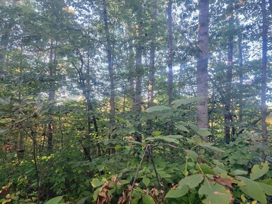 14853 Kentucky 196, Pointer, KY 42544 - photo 6