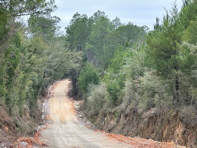 Tract#6418 Bryant Bay Rd, Caryville, FL 32427 - photo 5