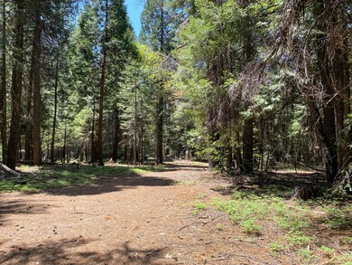 Driveway1