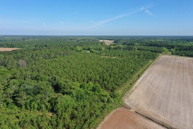 Facing North up the Property Line