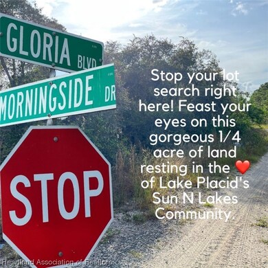 449 Morningside Dr, Lake Placid, FL 33852 - photo 4