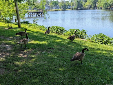 10280 W Winston Ave, Baton Rouge, LA 70809 - photo 3