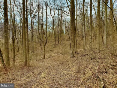 0 Harris Hollow Rd unit VARP107798, Washington, VA 22747 - photo 7