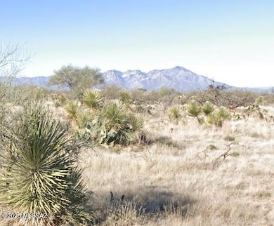 16040 Big Run Ave unit 316, Diamond Bell Ranch, AZ 85736 - photo 4