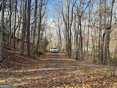 0 Geneva Place unit 10648186, Sautee Nacoochee, GA 30571 - photo 5