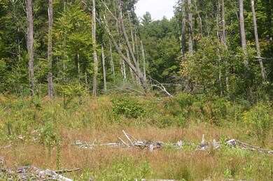 0 Buffam Rd, Pelham, MA 01002 - photo 6