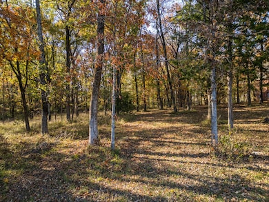 Lot 114 W Lakeshore Dr, Starkville, MS 39759 - photo 4