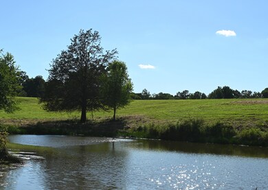 0 Tommy Dodson Hwy unit RTC2396915, Cookeville, TN 38506 - photo 6