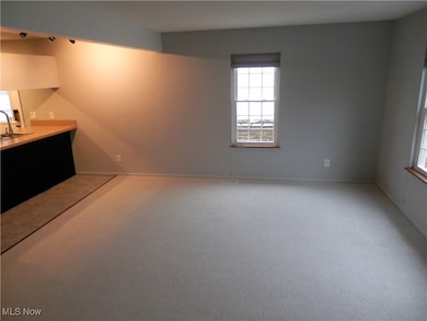 8080 Harbor Creek Dr unit 1103, Mentor On the Lake, OH 44060 - photo 5