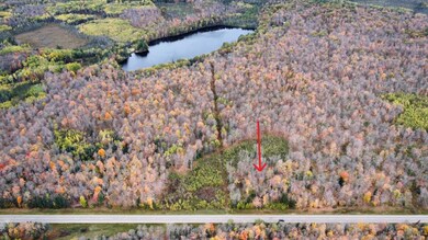 ON Cth A unit Lot 2, Deerbrook, WI 54424 - photo 4