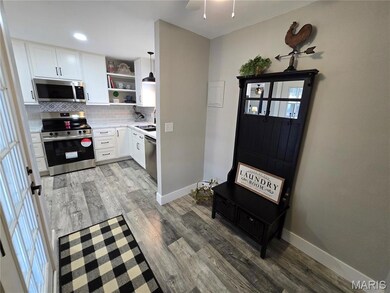 1003 W Saint Francis St, Dexter, MO 63841 - photo 7