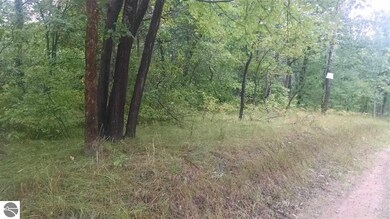 . N Walnut, Bitely, MI 49309 - photo 4