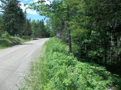 0 Gravel Pit Rd, Robbinston, ME 04671 - photo 4