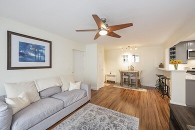 38 Juniper St unit 111, Brookline, MA 02445 - photo 3